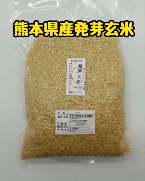 熊本県産 令和6年新米100% 発芽玄米 900g 3袋 ヒノヒカリ