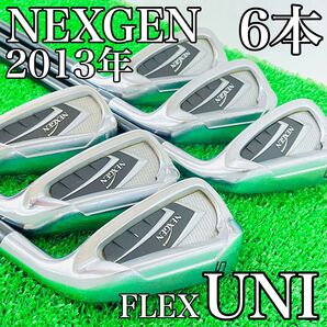 NEXGEN 2013年モデル アイアン 6本 カーボンシャフト 初心者向け