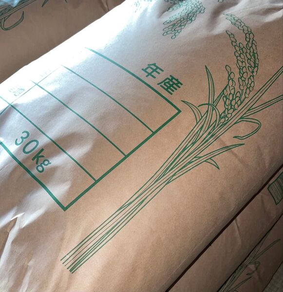 令和6年産 コシヒカリ30キロ 玄米 福島県産