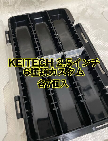 【カスタム】ケイテック イージーシェイカー 2.5インチワーム 6種各7個入 + ケース付き
