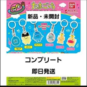 【新品・未開封】たまごっち めじるしアクセサリー コンプリート