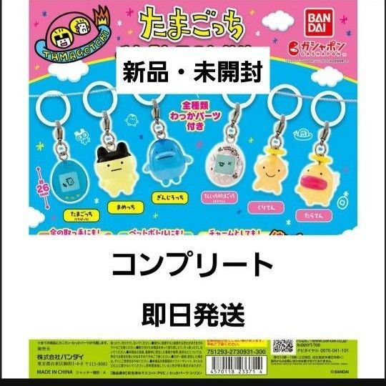 たまごっち めじるしアクセサリー コンプリート