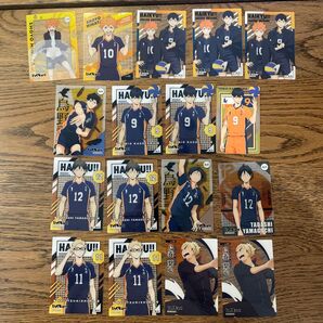 ハイキュー!! 烏野1年&烏養カード17枚セット