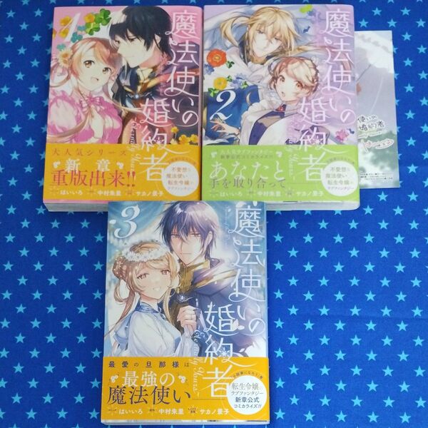 魔法使いの婚約者~Eternally 全3巻