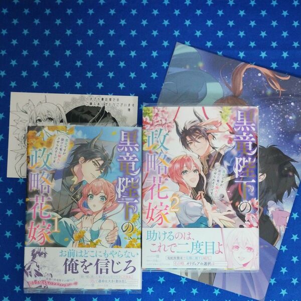 黒竜陛下の政略結婚 魔女ですが、助けた竜に嫁入りさせられそうです 全2巻