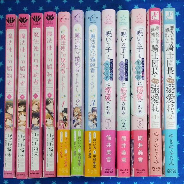 【専用】魔法使いの婚約者 全4巻、 他3点 12冊セット
