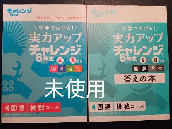チャレンジ6年生 実力アップ 4〜8月