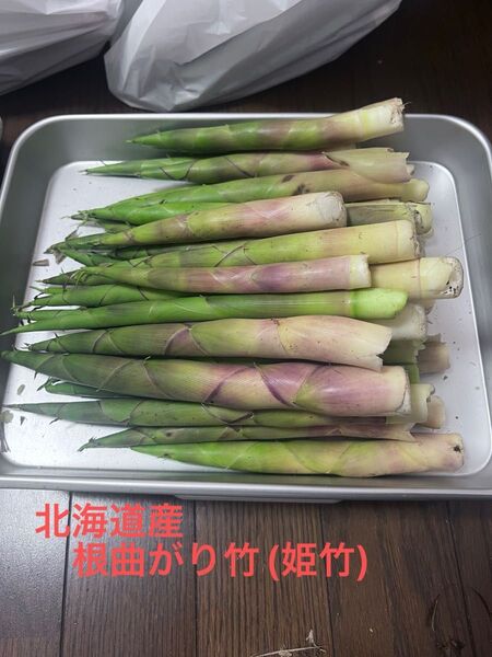 北海道産、天然たけのこ!