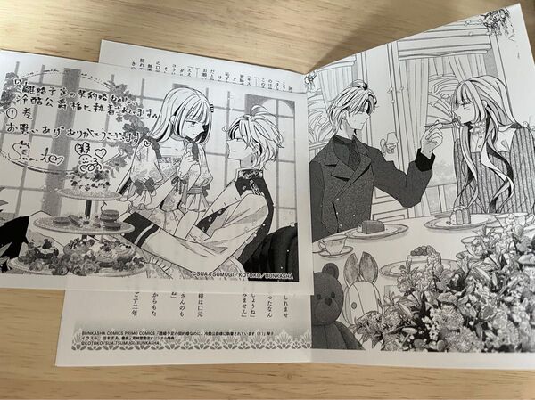 離婚予定の契約婚なのに、冷酷公爵様に執着されています 1 書泉特典 SSペーパー