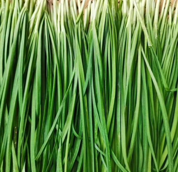 埼玉県産 無農薬 ニラ 韮菜 600g