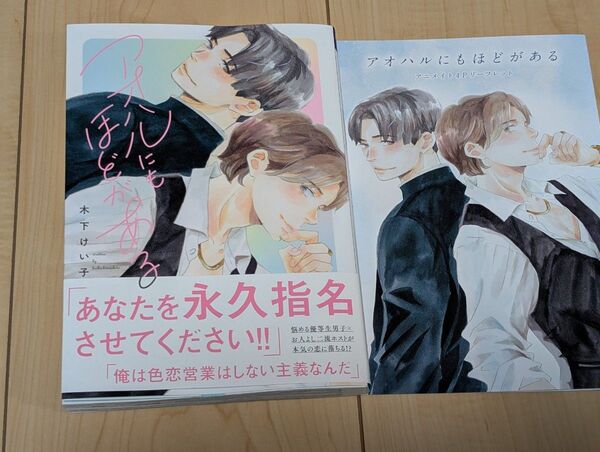 アオハルにもほどがある リーフレット付き 木下けい子