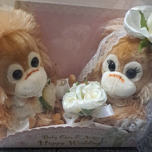 Baby Coco & Natsu Happy Wedding ウェディングドール