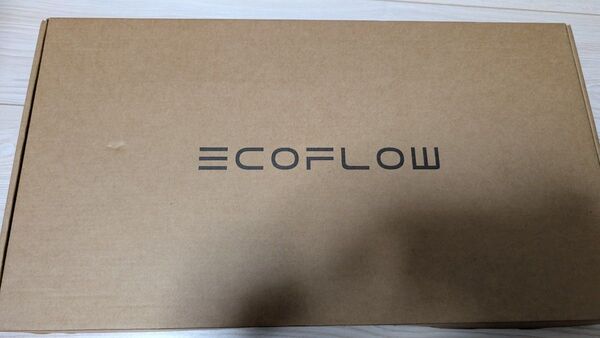 【新品未使用】EcoFlow DELTA2 MAX 専用収納バッグ