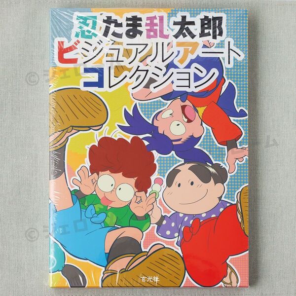 忍たま乱太郎 ビジュアルアートコレクション 玄光社 原画 イラスト 設定資料集 未読 新品 シュリンク未開封
