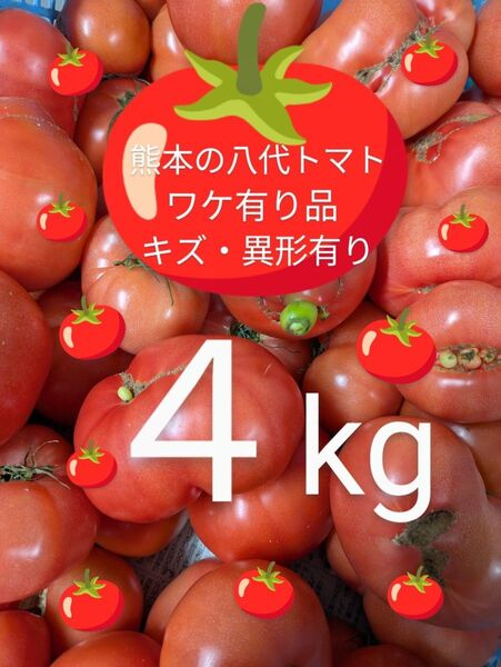 熊本の八代トマトワケ有り品4kg