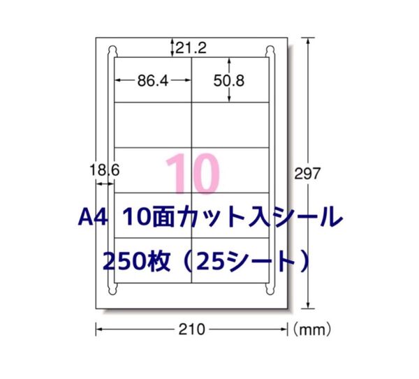 宛名シールに最適♪ A4 10面ラベルシール 250枚分 使い易いカット入り♪