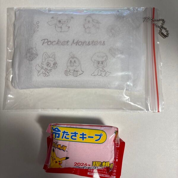 ポケモン クリアポーチ ニャオハ ホゲータ クワッス ピカチュウ イーブイ ペットボトルカバー イッカネズミ
