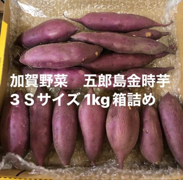 加賀野菜 五郎島金時芋1kg箱詰め コンパクトボックス対応