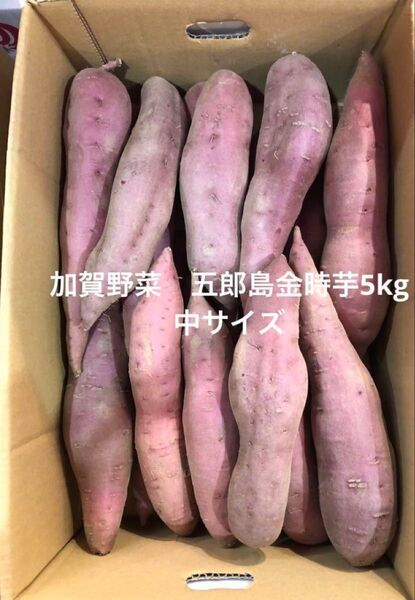 5月5日まで 加賀野菜 五郎島金時芋5kg箱 中サイズ