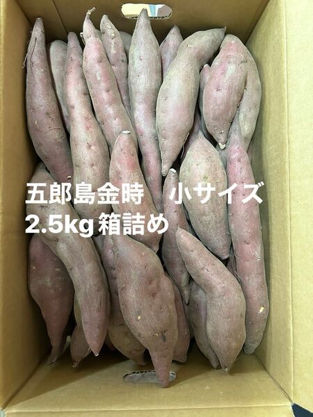加賀野菜 五郎島金時芋2.5kg箱詰め 小サイズ