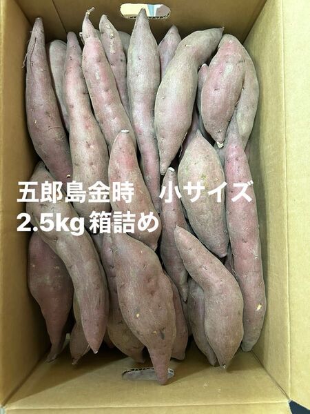 加賀野菜 五郎島金時芋2.5kg箱詰め 小サイズ
