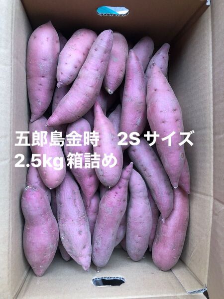 ラスト1ケース 加賀野菜 五郎島金時芋2.5kg箱詰め SSサイズ秀品