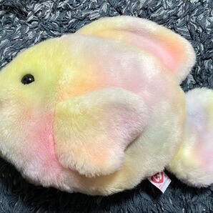 ぬいぐるみ classics お魚 タイ(ty) CORAL