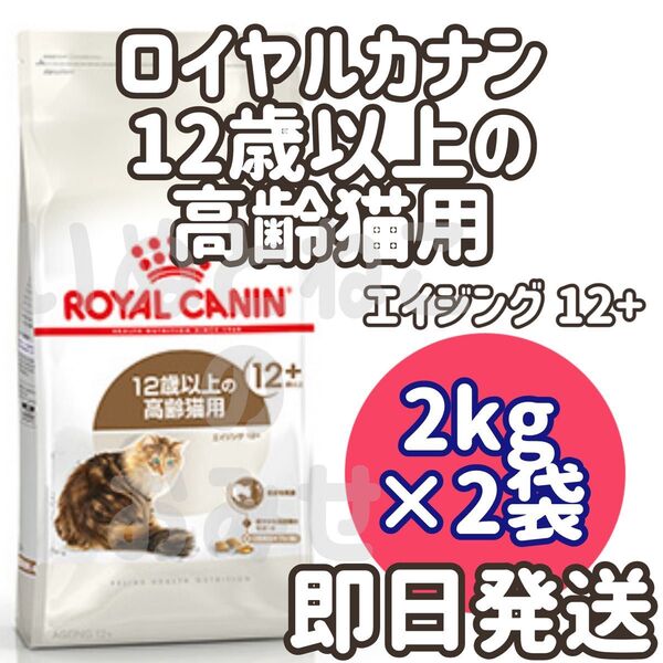 ロイヤルカナン エイジング 12+ 猫用 2kg×2個 キャットフード