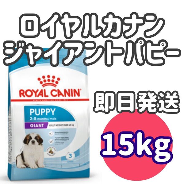 【15kg】ロイヤルカナン ジャイアントパピー ドッグフードロイヤルカナンロイヤルカナン