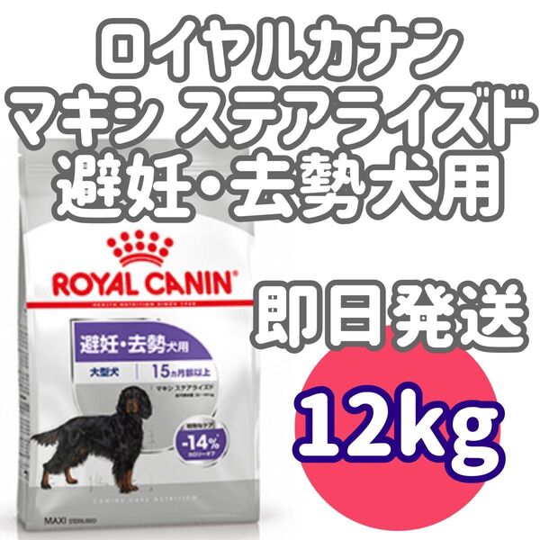 【12kg】ロイヤルカナン マキシステアライズド 避妊去勢犬 大型犬 ドッグフードロイヤルカナン