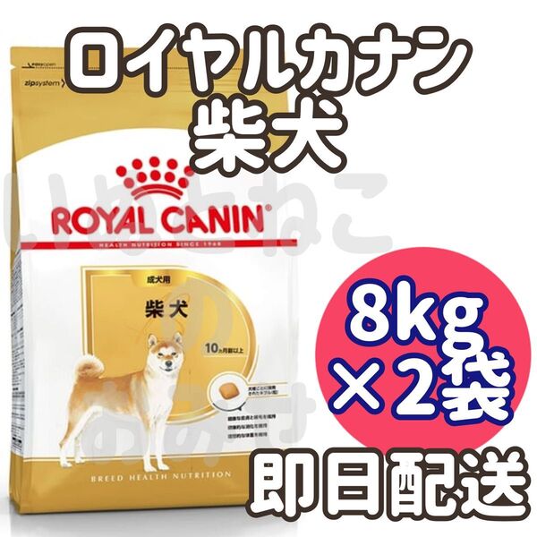 【8kg×2袋】ロイヤルカナン 柴犬 成犬用 ドッグフード
