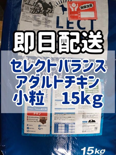 【15kg】セレクトバランス アダルト チキン 小粒ドッグフード