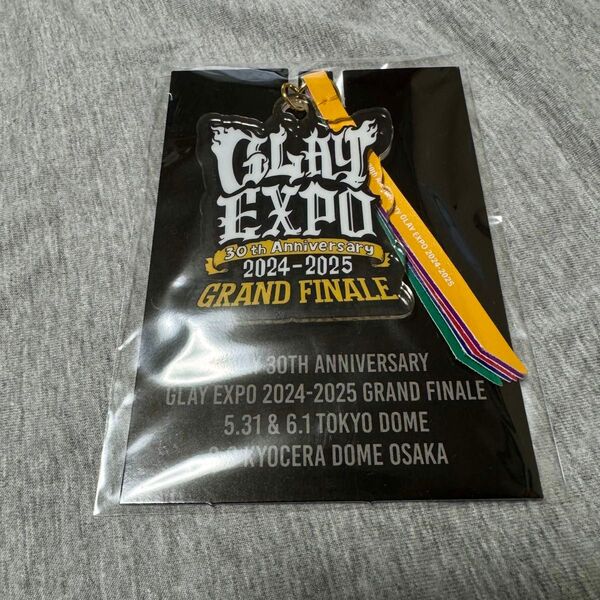 GLAY EXPO 2024-2025 GRAND FINALE EXPO缶 限定グッズ アクリル キーホルダー