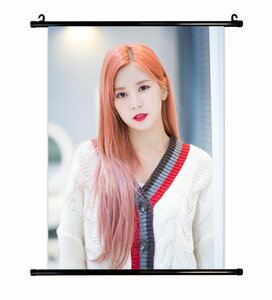 Apink (エイピンク) パク・チョロン グッズ 布 　ポスター タベストリー　約41ｃｍ×57ｃｍ (C)