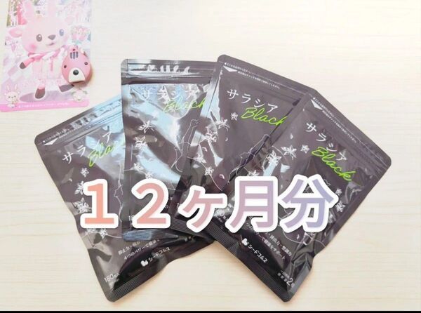 サラシアブラック シードコムス 12ヶ月分