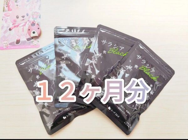 サラシアブラック シードコムス 12ヶ月分