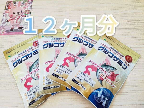 グルコサミン プロテオグリカン コンドロイチン配合 シードコムス 12ヶ月分