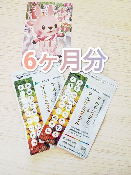 マルチビタミン&マルチミネラル シードコムス 6ヶ月分