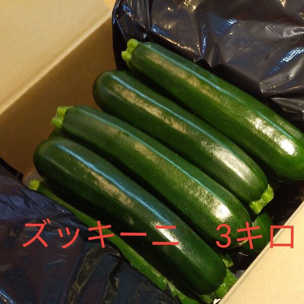 ズッキーニ 約3キロ 約15本