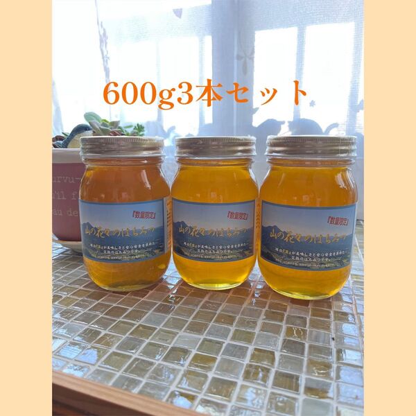 つかもと養蜂場 山の花々のはちみつ 600g3本セット 国産蜂蜜 非加熱