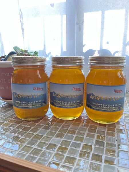 つかもと養蜂場 山の花々のはちみつ 600g3本セット国産 無添加