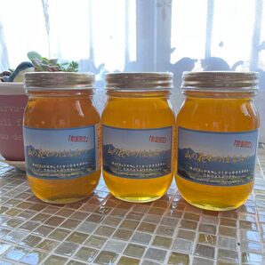 つかもと養蜂場 山の花々のはちみつ 600g3本セット 国産蜂蜜 非加熱