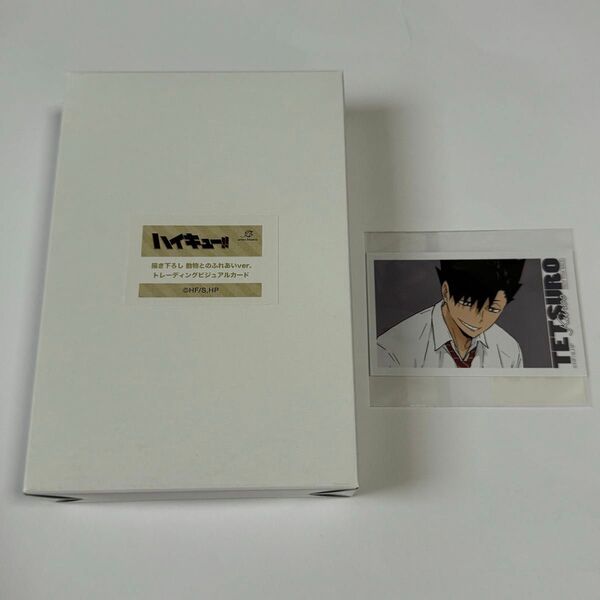 Haikyu ハイキュー 東武動物公園 トレーディングビジュアルカード 1BOX