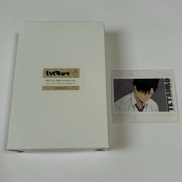 Haikyu ハイキュー 東武動物公園 トレーディングビジュアルカード 1BOX