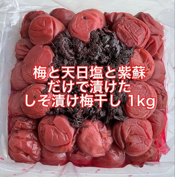紀州南高梅 訳あり 梅と天日塩と紫蘇だけで漬けたしそ漬け梅 1kg 梅干し 塩分15%