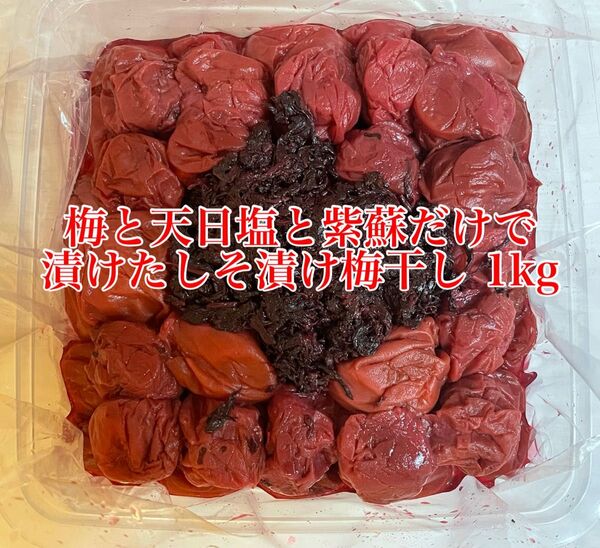 お得 紀州南高梅 訳あり 梅と天日塩と紫蘇だけで漬けたしそ漬け梅 1kg しそ漬け 梅干し 梅肉などに