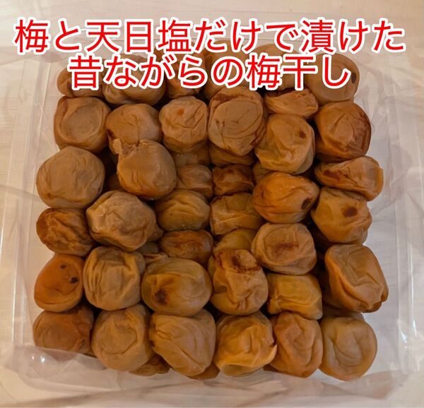 L 紀州南高梅 訳あり 梅と天日塩だけで漬けた梅干し1kg つぶれ梅 白干し