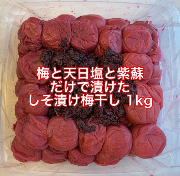 紀州南高梅 訳あり 梅と天日塩と紫蘇だけで漬けたしそ漬け梅 1kg 梅干し 塩分15%
