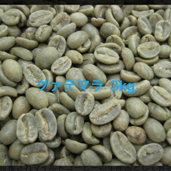 コーヒー生豆 グァテマラ ウエウエテナンゴ 3kg