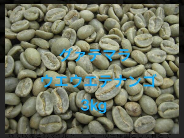 グァテマラ ウエウエテナンゴ 3kg コーヒー生豆 珈琲生豆 生豆 グリーンビーンズ